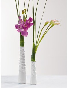 Complementos Jarrones