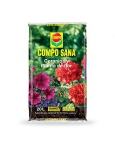 Geranios y Planta de flor