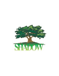 Shadow